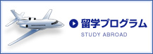 受験生の声